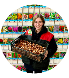 company.png company.png