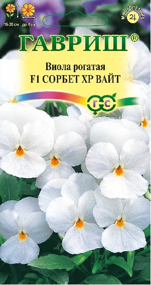 Виола Сорбет XP Вайт F1 рогатая (Анютины глазки)* 5 шт. фото