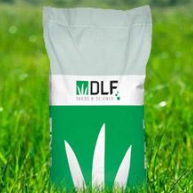 Газонная травосмесь DLF Trifoum (Roustica) фото