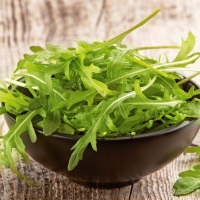 Индау (Руккола) культурная Итальянская Индау (Руккола) культурная Итальянская фото