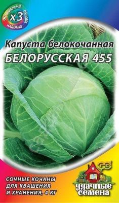 Капуста Белокочанная Белорусская фото