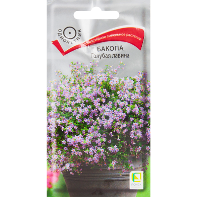 Бакопа Голубая Лавина фото