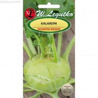 Капуста кольраби Деликатес белая (Польша) Капуста кольраби Деликатес белая (Польша) фото