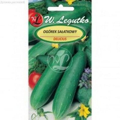 Огурец Деликатес (Польша) Огурец Деликатес (Польша) фото