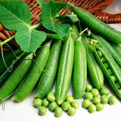 Горох Детский сладкий сахарный Горох Детский сладкий сахарный фото