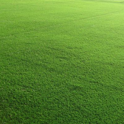 Газонная трава Спортивная площадка спортивный газон, 1 кг Газонная трава Спортивная площадка спортивный газон, 1 кг - Dolina-Sad.Ru