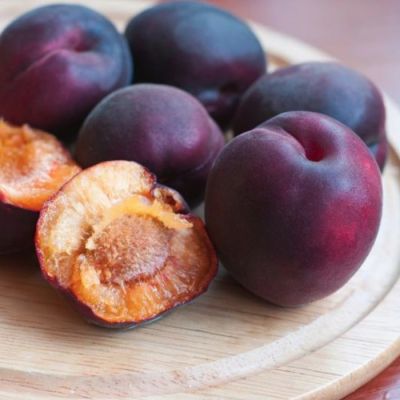 Абрикос Черный Бархат Абрикос Черный Бархат - Dolina-Sad.Ru